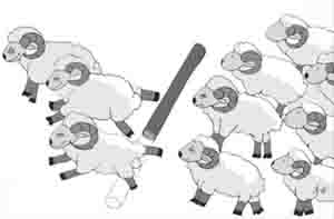 羊群效应
